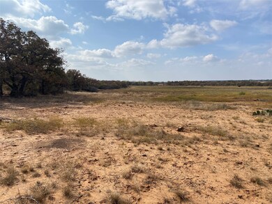 14500 County Road 129, Brownwood, TX 76801 - photo 7