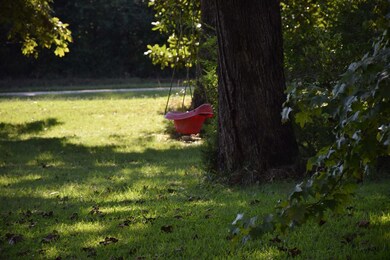 234 County Road 102, Oxford, MS 38655 - photo 4