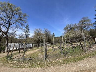 Garden Area and Second Mobile