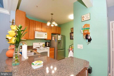 8608 Fluttering Leaf Trail unit 301, Odenton, MD 21113 - photo 7
