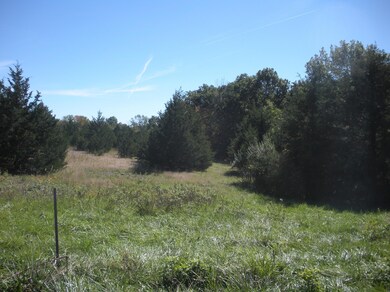 Blue Bird Land