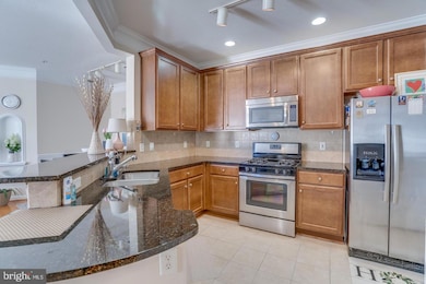 503 Sunset View Terrace SE unit 208, Leesburg, VA 20175 - photo 7