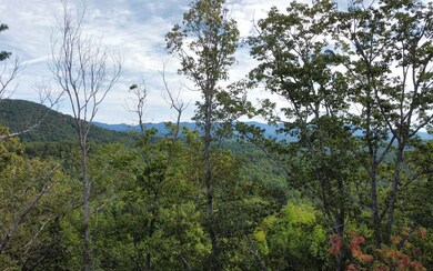 11758 Chatsworth Hwy, Ellijay, GA 30540 - photo 2