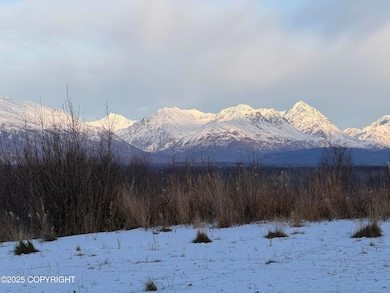 2525 N Larkspur Hill Cir, Gateway, AK 99645 - photo 4