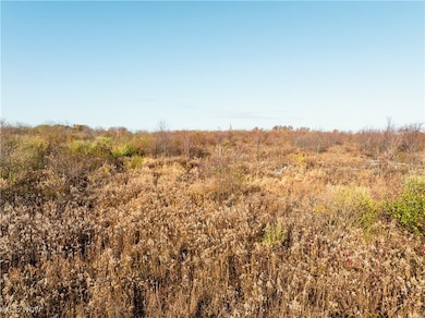 5975 Bedford Rd, Lowellville, OH 44436 - photo 5