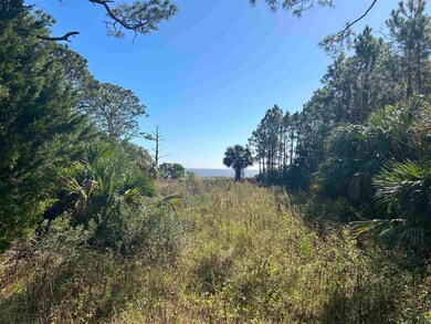 2191 E 98 Hwy, Lanark Village, FL 32323 - photo 4