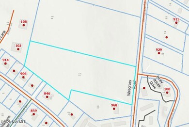 Tbd Wiregrass Rd, Hamlet, NC 28345 - photo 4