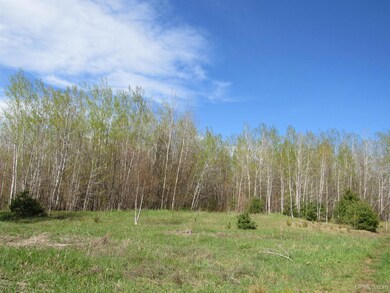 TBD Off Rice Lake Rd unit No Drive Bys, Lake Linden, MI 49945 - photo 5