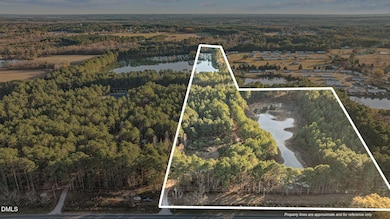 1008 Joe Collins Rd, Lillington, NC 27546 - photo 6