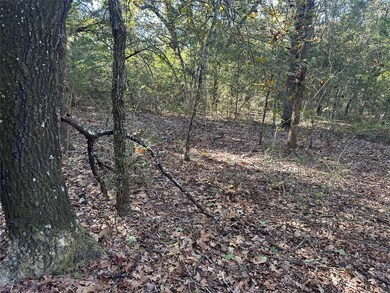 TR 4 Cr219, Buffalo, TX 75831 - photo 5