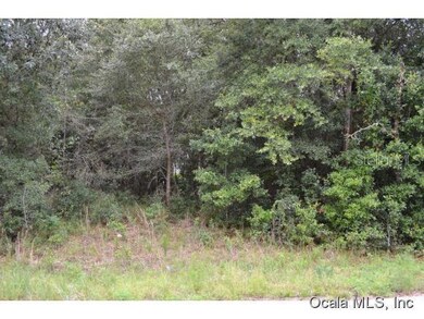 0 Dogwood Loop unit MFROM428737, Ocala, FL 34472 - photo 2