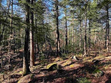 481 Chocorua Mountain Hwy, Tamworth, NH 03886 - photo 5