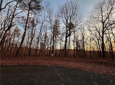View of nature at dusk