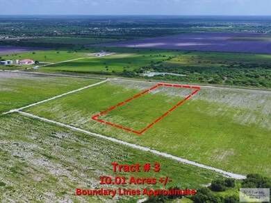 TDB Joines Rd unit Tract 3, San Benito, TX 78586 - photo 5