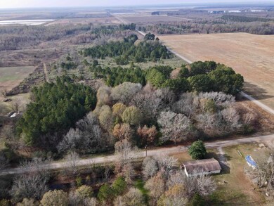 000 S Waller Rd, Bald Knob, AR 72010 - photo 3