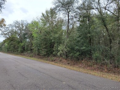 TBD SW Gering Blk 3 Lot 31 Ct, Dunnellon, FL 34432 - photo 3