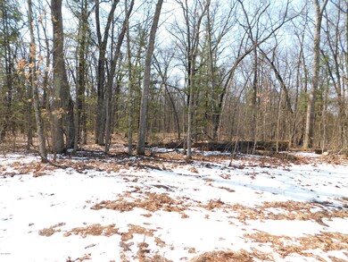 0 W Lincoln St, Brohman, MI 49312 - photo 3