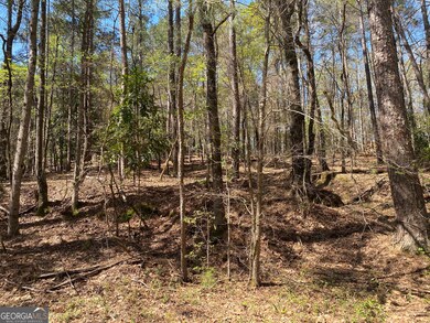 0 Sandra Dr unit 10487926, Gray, GA 31032 - photo 3