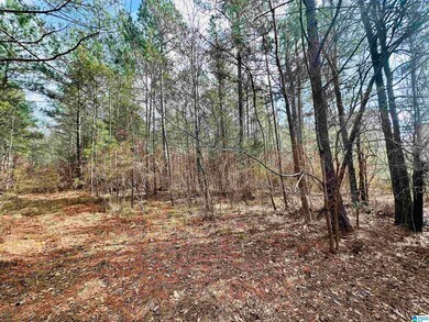 000 Wildberry Ln unit 13, Sylacauga, AL 35151 - photo 3