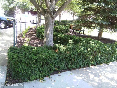 2520 Waterside Dr unit 404, Frederick, MD 21701 - photo 4