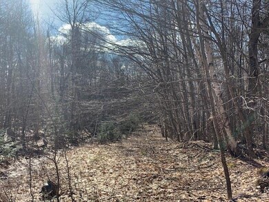 0 Gore Rd, Lancaster, NH 03584 - photo 6