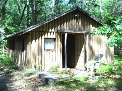 9658 S Woodbine Ave, Baldwin, MI 49304 - photo 7