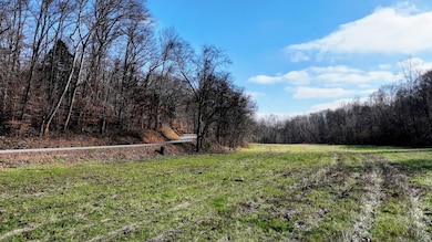 0 Kirkland Rd unit RTC3059615, Indian Mound, TN 37079 - photo 2