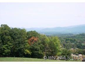 000 Moores Valley Ln, Leicester, NC 28748 - photo 6