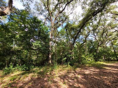 133 Pine Trail, Sylvester, GA 31791 - photo 2