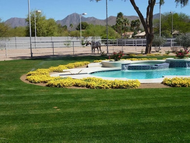 Huge Back Yard