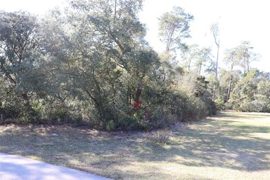 TBD SW 157th St, Ocala, FL 34473 - photo 4
