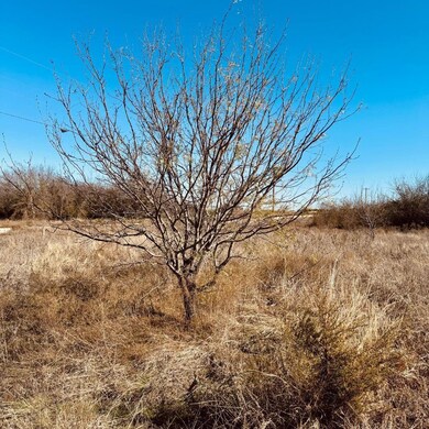 A few mature trees give the property dimension