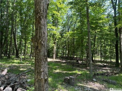 Dead trees cut down