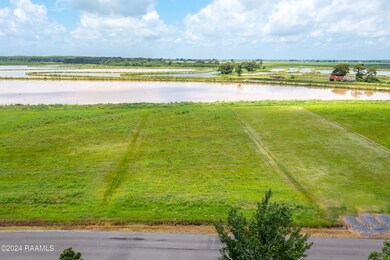 Lot 3 Morgan Shore's Rd, Lake Arthur, LA 70549 - photo 7