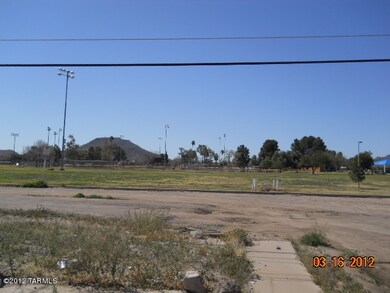 view out the back yard