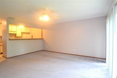 1844 Grove Ave unit 18A184, Schaumburg, IL 60193 - photo 3