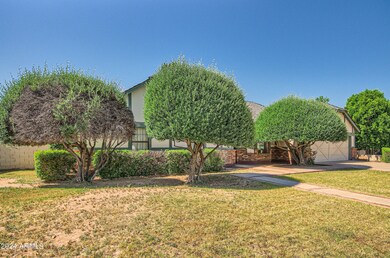 1951 E Enrose St, Mesa, AZ 85203 - photo 3