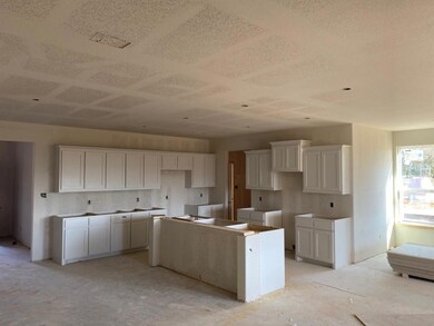 801 Holbrook Rd, Springtown, TX 76082 - photo 3