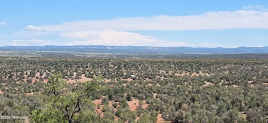 8200 W Rolling Ridge Rd, Ash Fork, AZ 86320 - photo 6