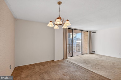 4 Monroe St unit 409, Rockville, MD 20850 - photo 3