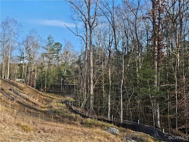 12812 Hull Street Rd, Midlothian, VA 23112 - photo 3