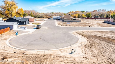 1033 Valley View Dr, Bloomfield, NM 87413 - photo 5