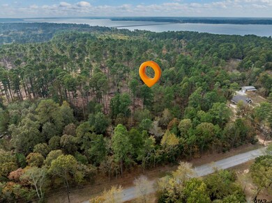 0 Pintail Dr, Flint, TX 75762 - photo 6