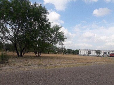 1709 Leanne Ln, Donna, TX 78537 - photo 3