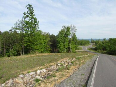 0 Lot #165 Lookout View Dr, Jasper, TN 37347 - photo 2