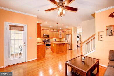 23209 Scholl Manor Way, Clarksburg, MD 20871 - photo 7