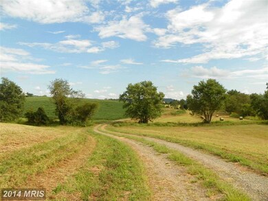 403 Ft Valley Rd, Sperryville, VA 22740 - photo 7