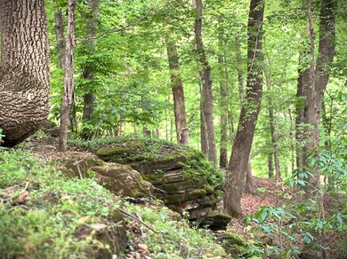 0 3 Island Rd unit RTC2784849, Walling, TN 38587 - photo 3