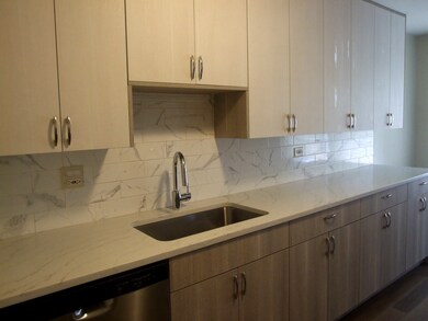 2710 Northampton Dr unit D1, Rolling Meadows, IL 60008 - photo 5