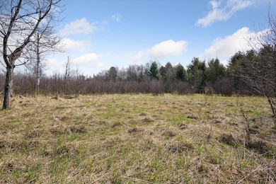 03-13386-Potter-Rd-Bear-Lake-MI-49614-Wi